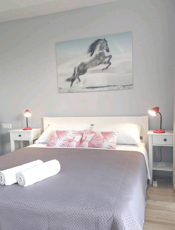 Gorgeous Dubrovnik Sea View Apartment With Free Parking Exteriör bild